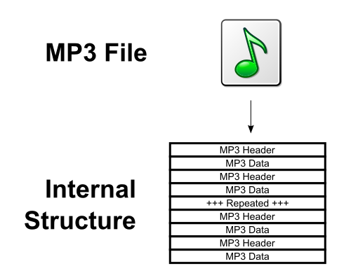 MP3 Digital Coding Format