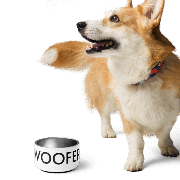 "Woofer" Pet Bowl - Image 2