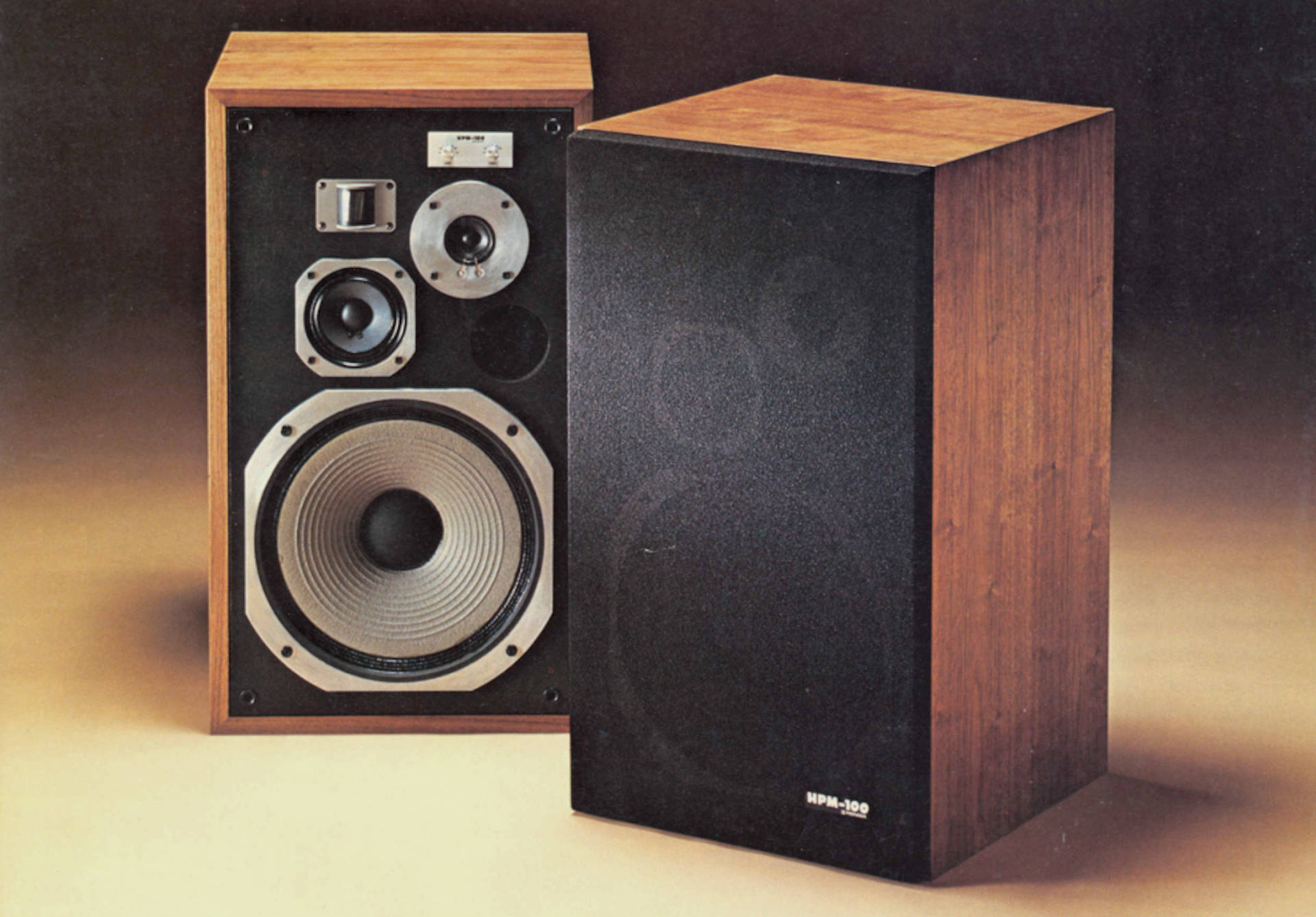 Pioneer HPM-100 Speaker