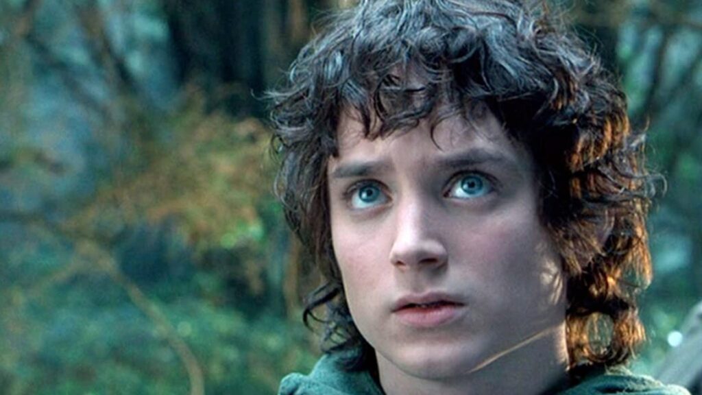 Elijah Wood in "Lord of the Rings"